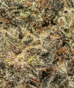 Amnesia Haze (AAAA) - Image 4