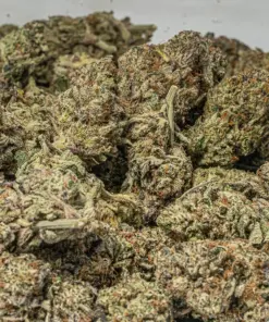 Amnesia Haze (AAAA) - Image 5