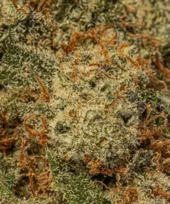 Birthday Cake (AAAA+) - Image 4