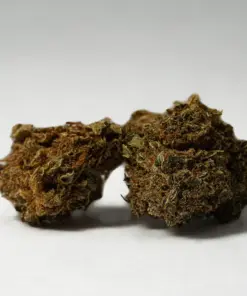 (Smalls) Black Jack (A) - Image 1