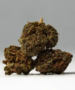 (Smalls) Black Jack (A) - Image 2