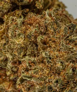 (Smalls) Black Jack (A) - Image 4