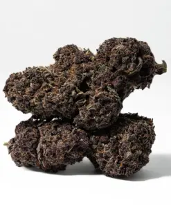 Black Raspberry (AAAA) - Image 3