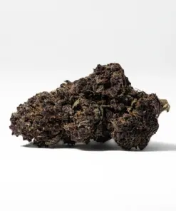 Black Raspberry (AAAA) - Image 2