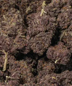 Black Raspberry (AAAA) - Image 4