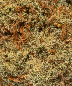 Blue Dream (AA) - Image 4