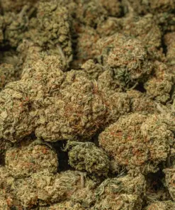 Blue Dream (AA) - Image 5