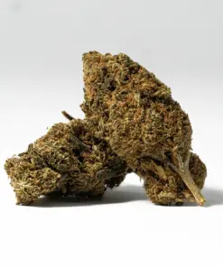 Bubblegum (AA) - Image 1