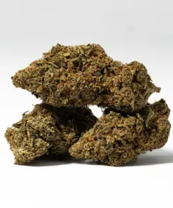 Bubblegum (AA) - Image 2