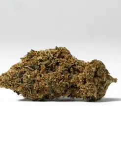 Bubblegum (AA) - Image 3