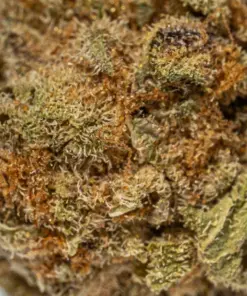 Cali OG (AA) - Image 4