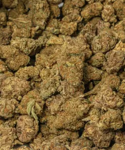 Cali OG (AA) - Image 5