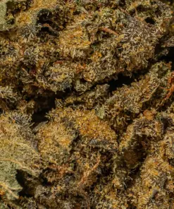 Chem Dawg (AA+) - Image 4