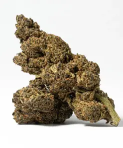 Cherry Mints (AA) - Image 1