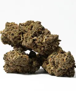 Cherry Mints (AA) - Image 2