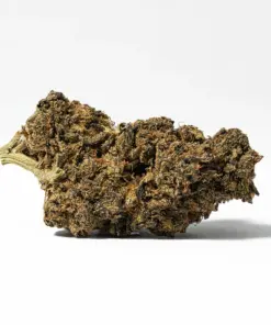 Cherry Mints (AA) - Image 3