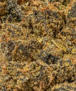 Cherry Mints (AA) - Image 5