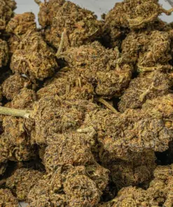 Cherry Mints (AA) - Image 4