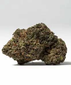 Citrus Skunk (AAA) - Image 3