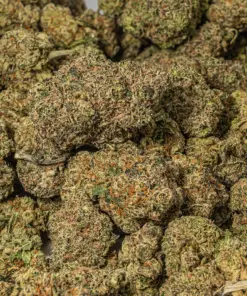 Citrus Skunk (AAA) - Image 5