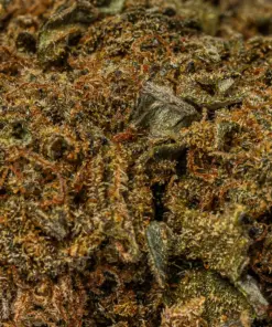 Dirty Sprite Breath (AA+) - Image 5