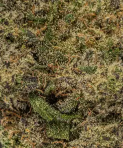 Do Si Dos (AAA) - Image 5