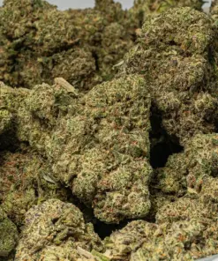 Do Si Dos (AAA) - Image 4