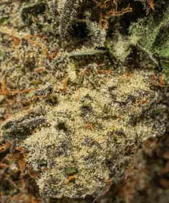 Donkey Butter (AAAA+) - Image 4