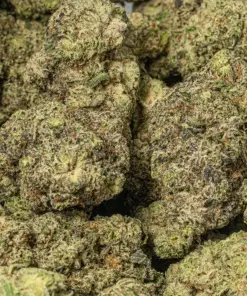 Donkey Butter (AAAA+) - Image 5