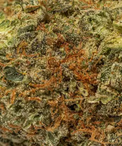 Durban Poison (AA+) - Image 4