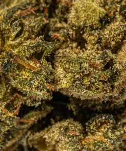 (Smalls) El Chapo (AAAA) - Image 4