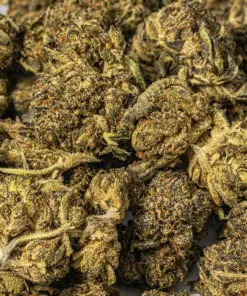 (Smalls) El Chapo (AAAA) - Image 5