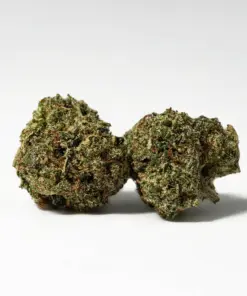 (Smalls) Gelato (AAA+) - Image 1