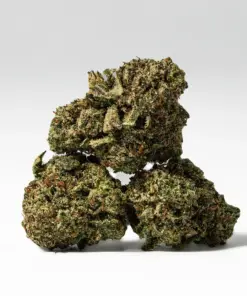 (Smalls) Gelato (AAA+) - Image 3