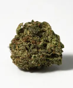 (Smalls) Gelato (AAA+) - Image 2