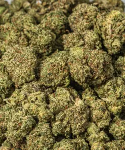 (Smalls) Gelato (AAA+) - Image 4