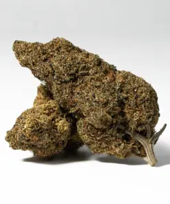 Ghost Dawg (AA+) - Image 1