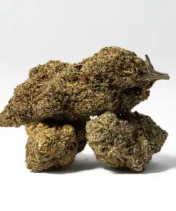 Ghost Dawg (AA+) - Image 3