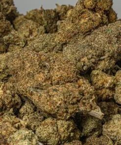 Ghost Dawg (AA+) - Image 5