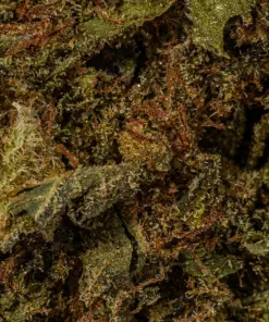 Godfather OG (AAAA) - Image 4