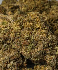 Godfather OG (AAAA) - Image 5