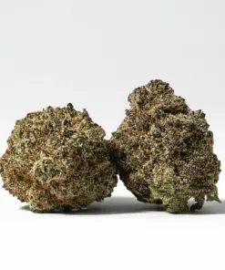 Gorilla Glue (AAA+) - Image 1