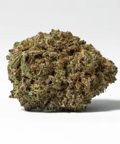 Gorilla Glue (AAA+) - Image 3