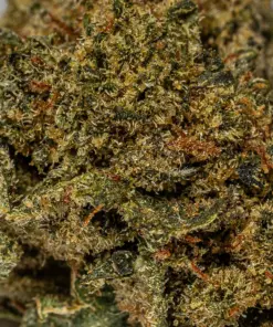 (Smalls) Grease Monkey (AAA+) - Image 5