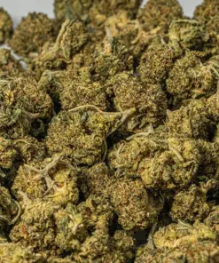 (Smalls) Grease Monkey (AAA+) - Image 4