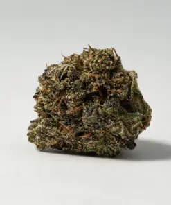 (Smalls) Grizzly Pink (AAAA) - Image 3