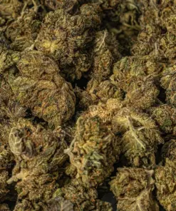 (Smalls) Grizzly Pink (AAAA) - Image 5