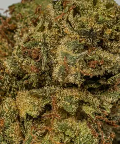 (Smalls) Galactic Gas (AAAA) - Image 5