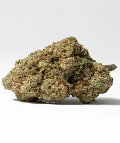 Harlequin (AAA) - Image 3