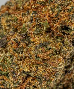 (Smalls) Jack of Spades (AA) - Image 5